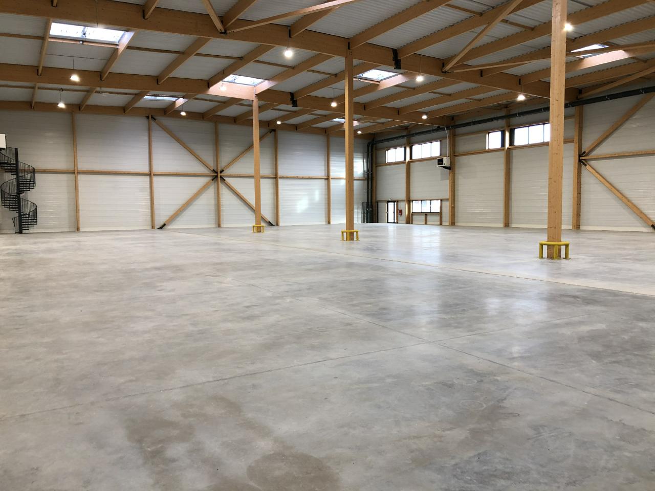 Local d'activité Louvres 2321m² Location local d'activité Louvres Val-d'Oise OLACT2530003 0